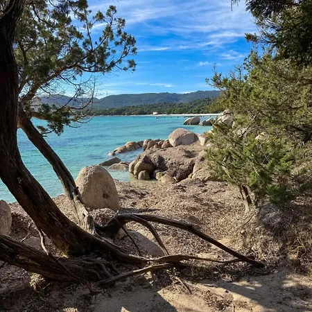 70m2 Avec Loggia, Piscine A Debordement Vue Appartement Pianottoli-Caldarello (Corsica)