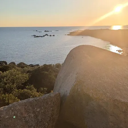 70m2 Avec Loggia, Piscine A Debordement Vue