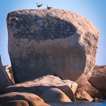 Appartement 70m2 Avec Loggia, Piscine A Debordement Vue *