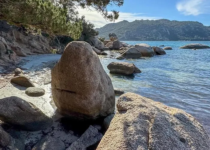70m2 Avec Loggia, Piscine A Debordement Vue