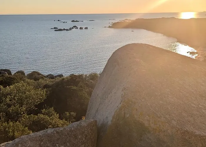 70m2 Avec Loggia, Piscine A Debordement Vue